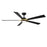 WAC Lighting Rotary 5-Blade LED Ceiling Fan, Black Brass/Black