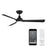 WAC Gage 3 Blade 52" LED Smart Ceiling Fan, Matte Black/Black - F-104L-MB