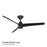 WAC Novelle 3 Blade 52" LED Smart Ceiling Fan, Matte Black/Black