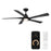 WAC Zeke 5 Blade 60" LED Smart Ceiling Fan, Matte Black/Black - F-111L-MB