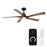 WAC Zeke 5 Blade 60" LED Smart Ceiling Fan, Black Distressed Koa - F-111L-MB-DK