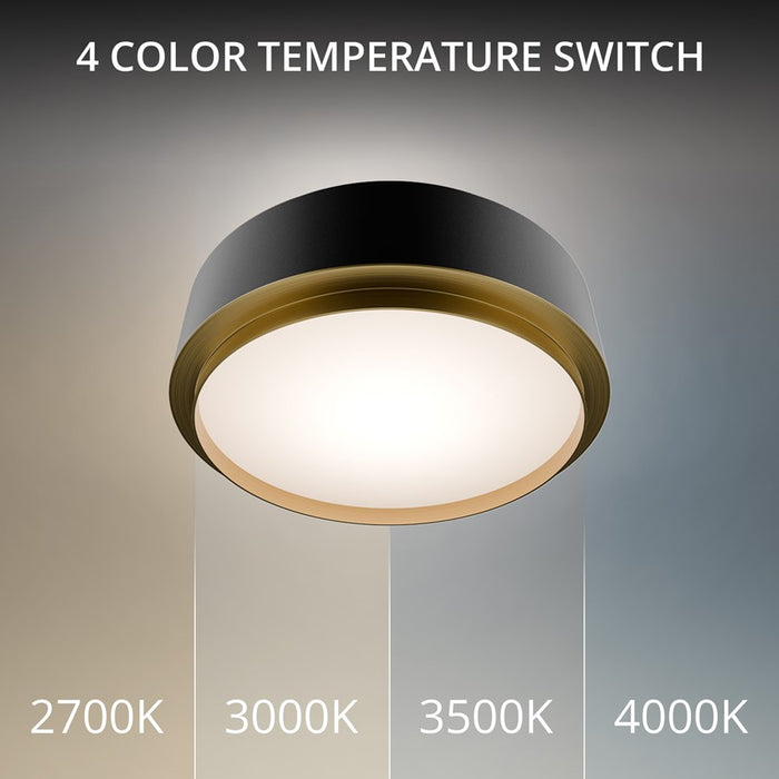 dweLED Salvo 1Lt 12" Flush/3500K, Black Brass/White Opaque