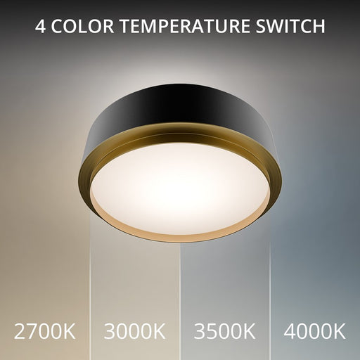 dweLED Salvo 1Lt 12" Flush/4000K, Black Brass/White Opaque