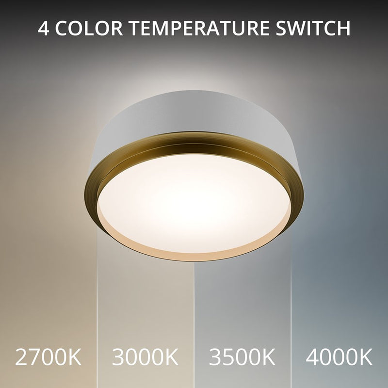 dweLED Salvo 1Lt 12" Flush/4000K, White Brass/White Opaque