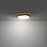 dweLED Double Decker 14" LED Flush Mount 3000K, Black Brass