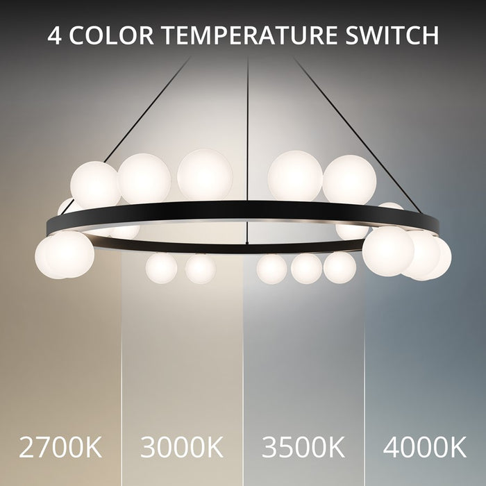 dweLED Carousel 21 Light 28" Chandelier/4000K, Black/Frosted