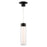 WAC Twist-N-Lite 1Lt LED Cylinder Pendant, Black/Clear/White - PD-240212-CS-BK