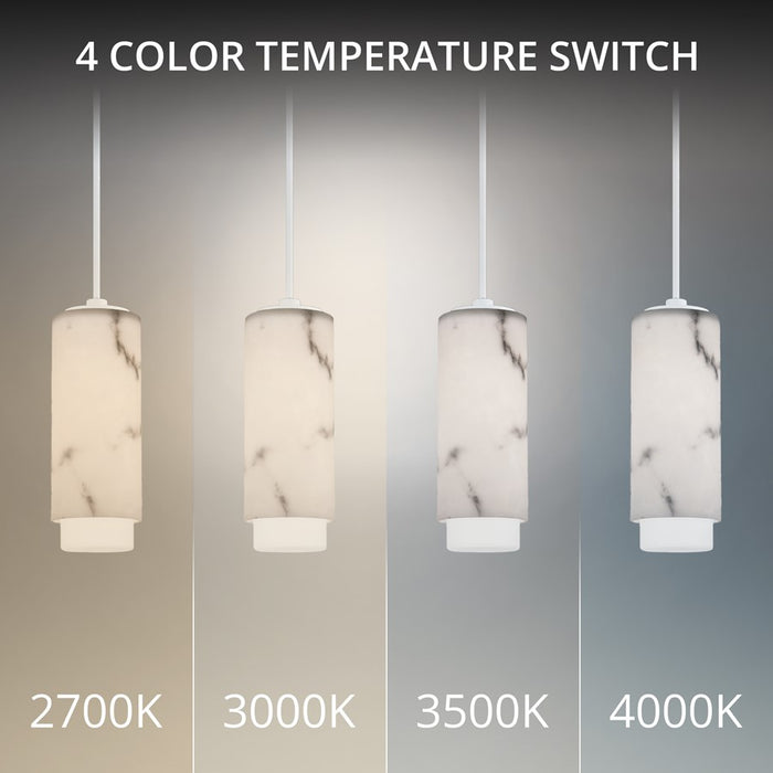 dweLED Aragon 1Lt 5" Mini-Pendant/4000K, White/Alabaster/Frost