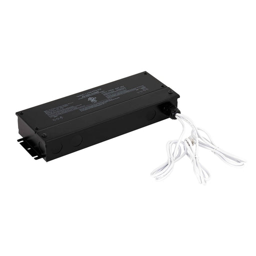 WAC Lighting Basics & Gemini Lt 24V DC Remote/6' Wire, Black