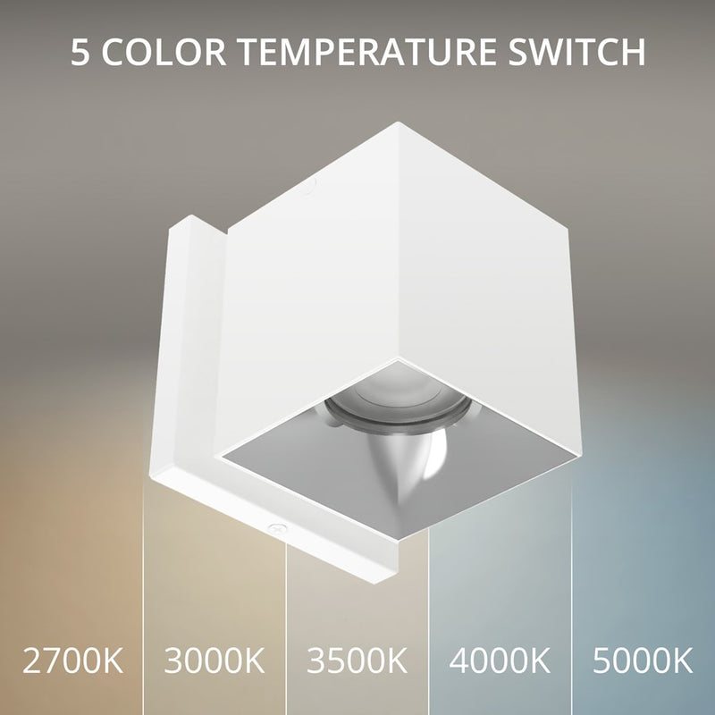 WAC Zoron 3.5" Square Outdoor Wall Light, Narrow Beam/White Chrome