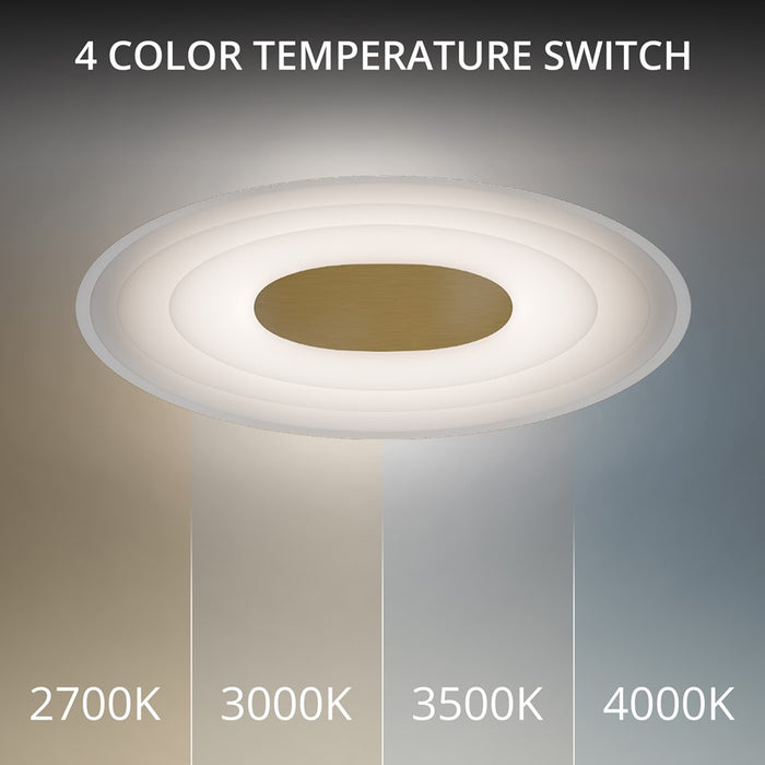 dweLED Orbix 1Lt 6" Wall Sconce/4000K, Brass/Clear/Etched