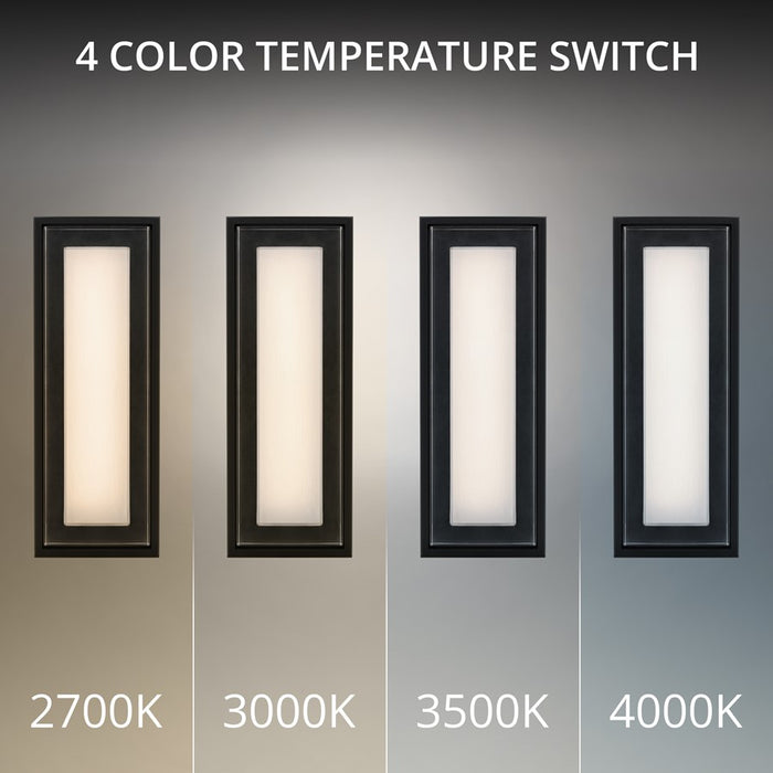 dweLED Beech 1 Light 16" Outdoor Wall Light/3000K, Black/Clear