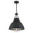 Westinghouse Bartley 1 Light Pendant, Matte Black/Pewter, Cage Shade - 6116300