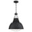 Westinghouse Bartley 1 Light Pendant, Matte Black/Pewter, Cage Shade