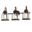 Westinghouse Cindy 3 Light Wall Light, Bronze/Barnwood/Clear Seeded