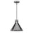 Westinghouse Pennsauken 1Lt Pendant, Steel with Iron Accent/Metal