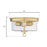 Westinghouse Lebanon 2 Light Flush, Champagne Brass/Clear Glass