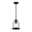Westinghouse Cindy 1Lt Pendant, Matte Black/Antique Ash/Clear Seeded - 6129700