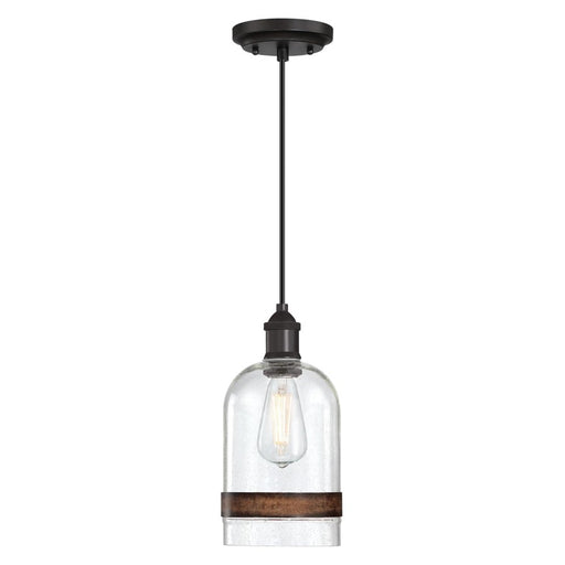 Westinghouse Tarrant 1 Light Pendant, Black-Bronze/Clear Seeded Glass