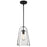 Westinghouse Kewadin 1 Light Pendant, Matte Black/Clear Glass