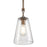 Westinghouse Biloxi 1 Light Pendant, Barnwood/Clear Seeded Glass
