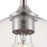 Westinghouse Tatze 1 Light Pendant, Brushed Nickel/Clear Glass