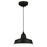 Westinghouse Academy 1 Light 12" Pendant, Black/Cage Shade