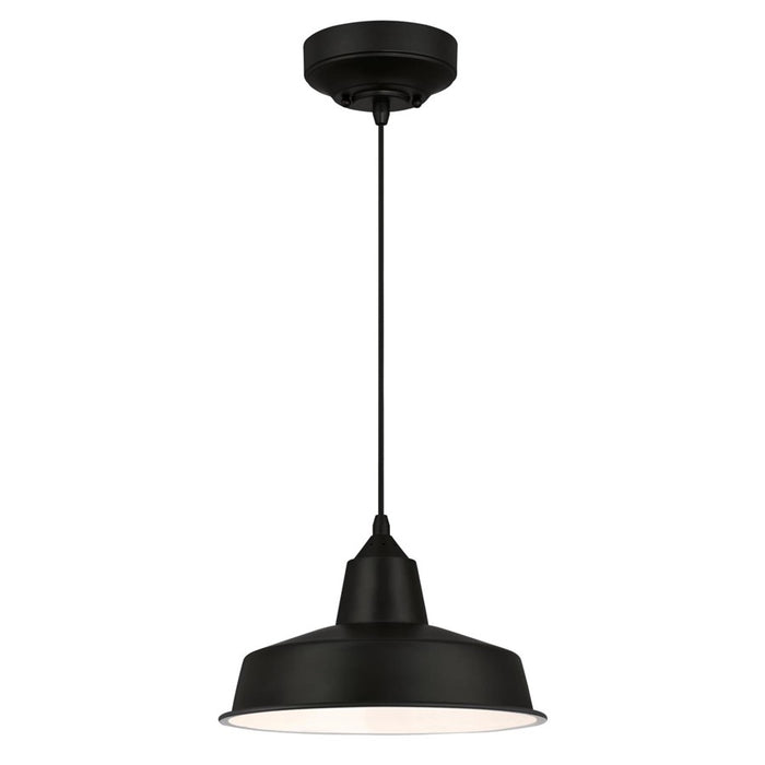Westinghouse Academy 1 Light 12" Pendant, Black/Cage Shade