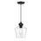 Westinghouse Ramsey 1 Light Pendant, Matte Black/Clear Glass