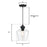 Westinghouse Ramsey 1 Light Pendant, Matte Black/Clear Glass