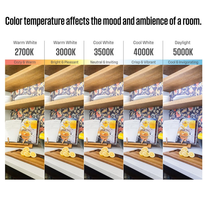 Westinghouse Hatboro 1 Light Wall Light, Nickel/Frosted Acrylic