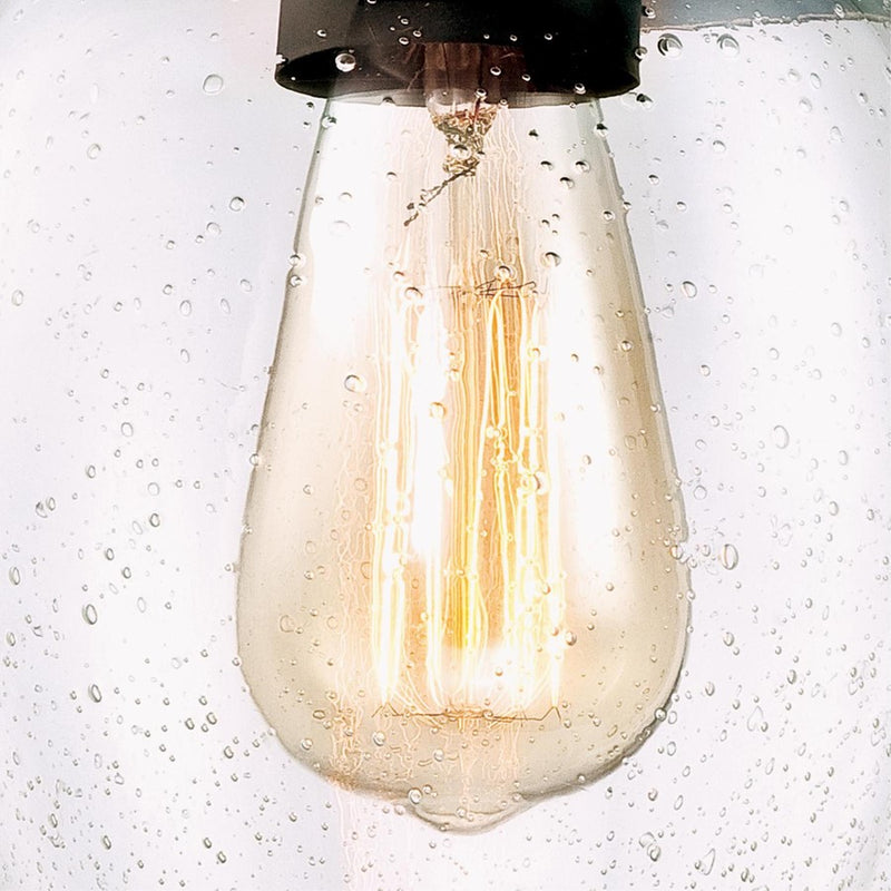 Westinghouse Eldon 1 Light Wall Light, Oil Rubbed Bronze/Clear Seeded