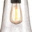 Westinghouse Brynn 1Lt Outdoor Pendant, Oil Rubbed Bronze/Clear Seeded