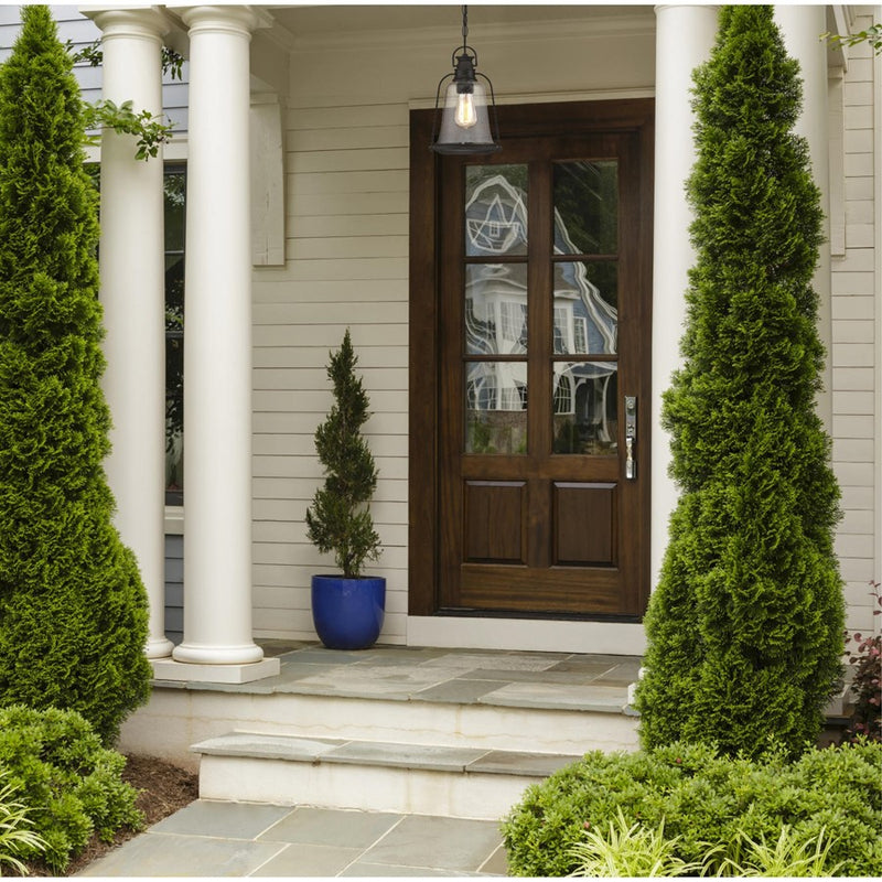 Westinghouse Brynn 1Lt Outdoor Pendant, Oil Rubbed Bronze/Clear Seeded
