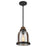 Westinghouse Cindy 1 Light Pendant, Bronze/Barnwood/Clear Seeded - 6356300