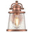 Westinghouse Emma Jane 1Lt Wall Light, Washed Copper/Clear Seeded