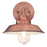 Westinghouse Iron Hill 1 Light Wall Light, Washed Copper/Metal Shade