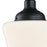 Westinghouse Scholar 1 Light SemiFlush, Textured Black/White Opal