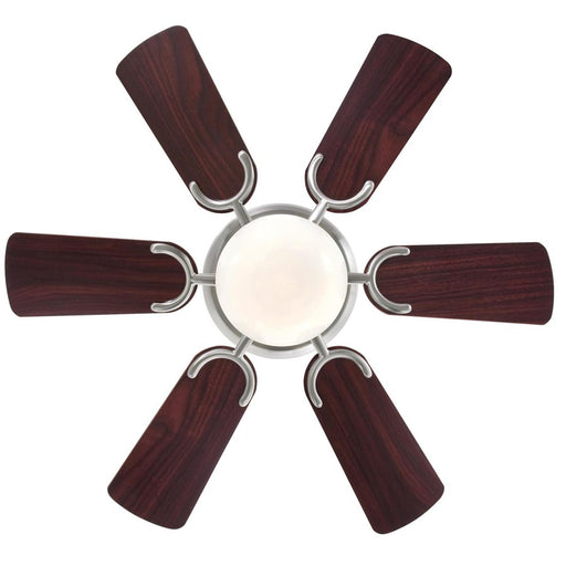 Westinghouse Petite 6Bld 30" Ceiling Fan, LED Light, Nickel/Rosewood