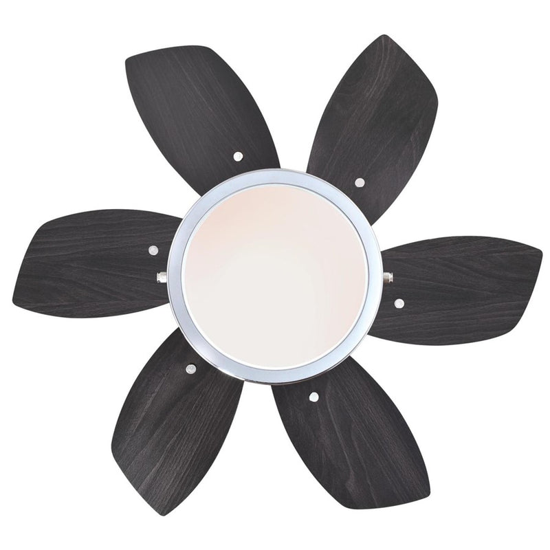Westinghouse Quince 24in 6-Blade Ceiling Fan | Contemporary Chrome and Reversible Wengue/Beech | Small Bedrooms & Kitchens | Model 7236600