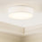 AFX Lighting Ashland 1Lt 12" LED Flush Mount, White/White