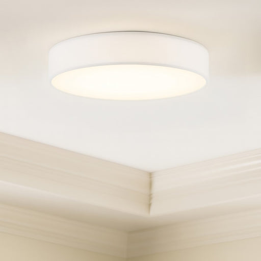 AFX Lighting Ashland 1Lt 19" LED Flush Mount, White/White