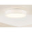 AFX Lighting Ashland 1Lt 19" LED Flush Mount, White/White