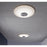 AFX Lighting Alpine 1 Light 17" Flush Mount, Satin Nickel/White