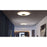 AFX Lighting Alpine 1Lt 21" Flush Mount, Antique Brass/White