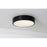 AFX Lighting Bailey 1 Light 12" LED Ceiling Light, Black/Frosted