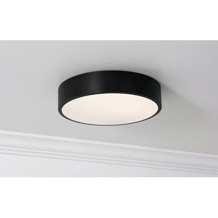 AFX Lighting Bailey 1 Light 12" LED Ceiling Light, Black/Frosted