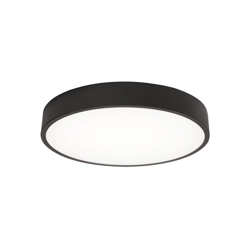 AFX Lighting Bailey 1 Light 14" LED Ceiling Light, Black/Frosted
