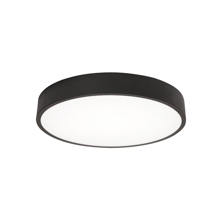 AFX Lighting Bailey 1 Light 14" LED Ceiling Light, Black/Frosted