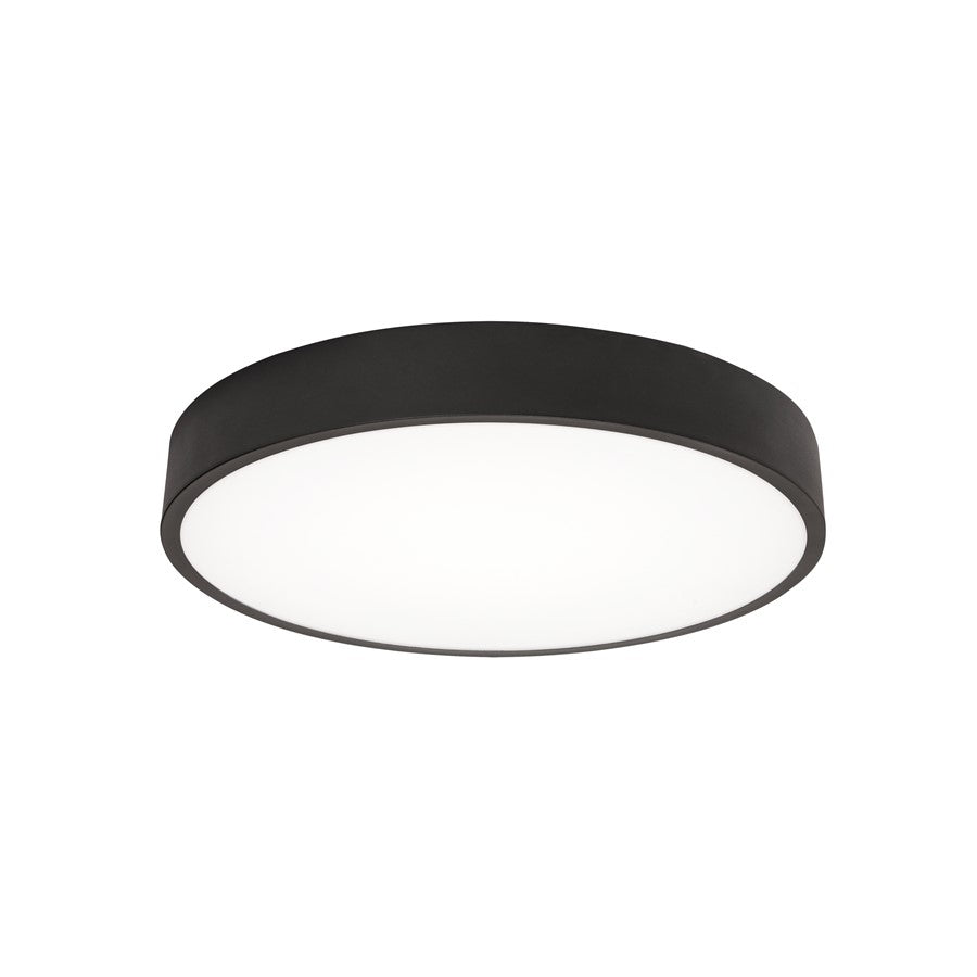 AFX Lighting Bailey 1 Light 14" LED Ceiling Light, Black/Frosted